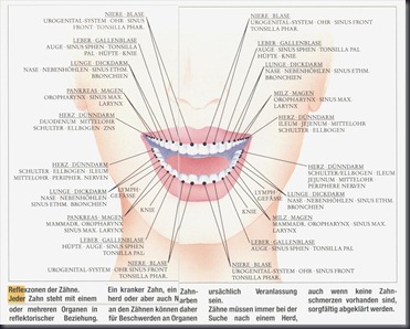 Zahnreflexologie